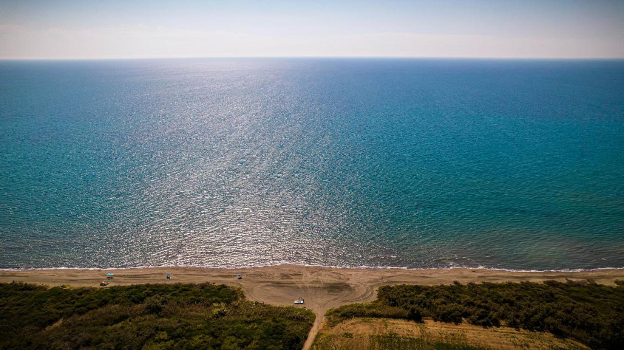 Podere Giovanni Olivo Таркуїнія Екстер'єр фото