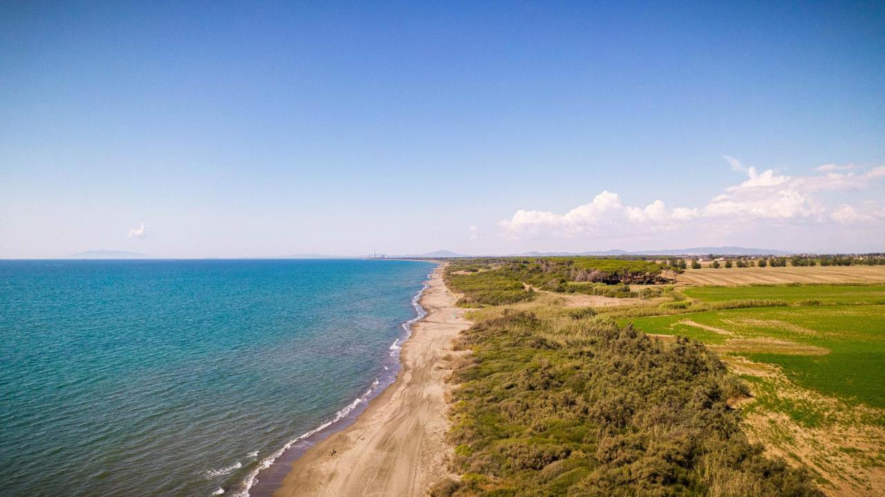 Podere Giovanni Olivo Таркуїнія Екстер'єр фото